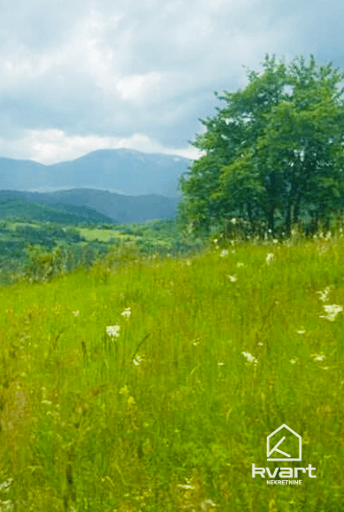Zemljište, Trnovo — slika 2