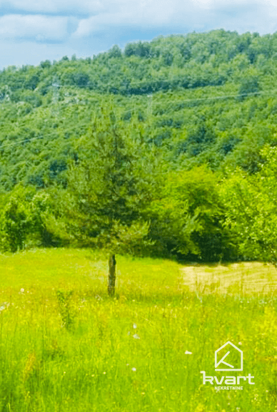 Zemljište, Trnovo — slika 3