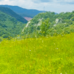 Zemljište, Trnovo — slika 4