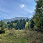 Zemljište, Trebević — slika 1
