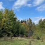 Zemljište, Trebević — slika 13