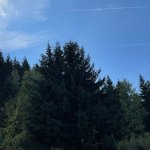 Zemljište, Trebević — slika 4
