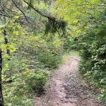 Zemljište, Trebević — slika 8