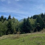 Zemljište, Trebević — slika 5