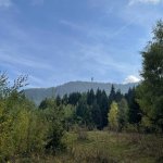 Zemljište, Trebević — slika 7