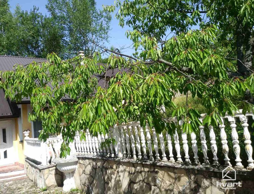 Kuća, Kobiljača — slika 8