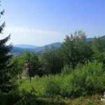 Kuća, Kobiljača — slika 39