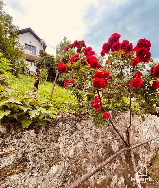 Kuća, Stari Grad — slika 6