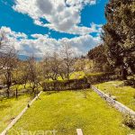 Vikednica Miševići — slika 22