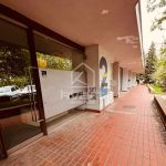 Poslovni prostor Ciglane — slika 1