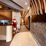 Apartman Pahulja — slika 13